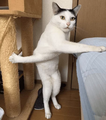 [Изображение: file_151838051.png]