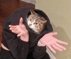 [Изображение: file_151838193.png]