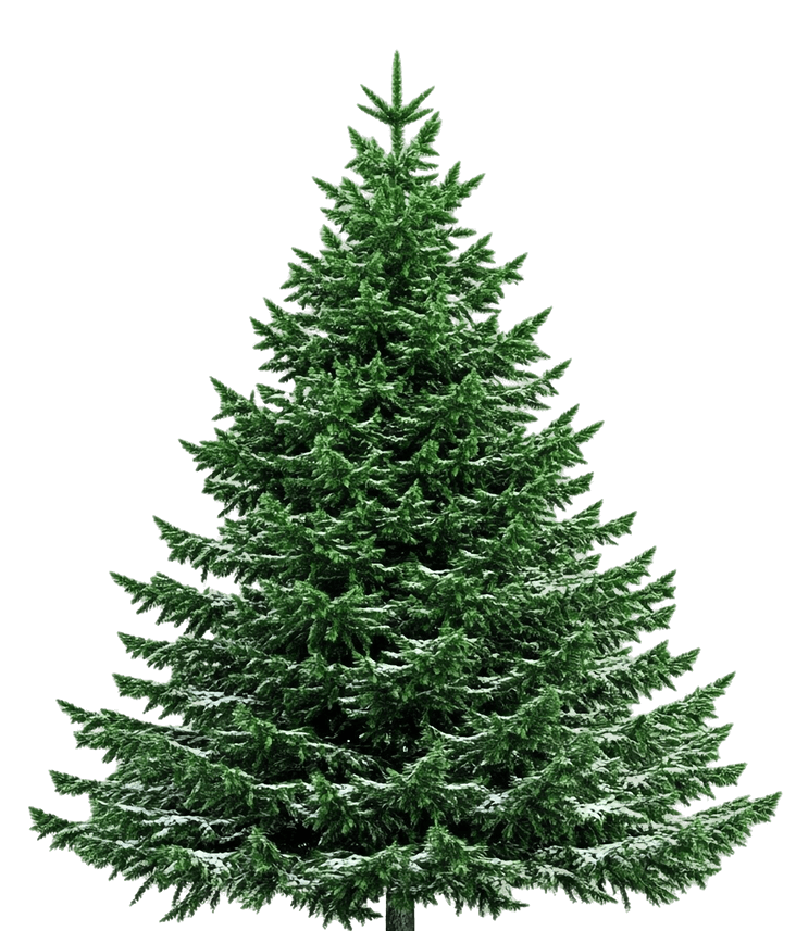 [Изображение: tree.png]